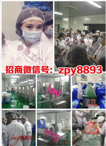 爱美肌、悦素堂与爱奈儿产品体验及燕儿团队代理模式解析